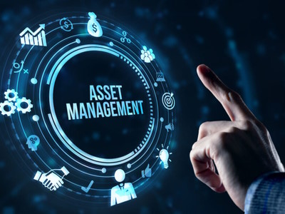 Asset Managers